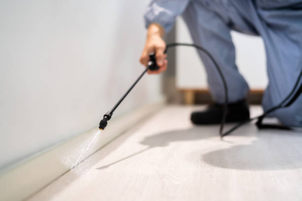 Licensed Termite Control service in Jackson, SC - Nex Pest Control