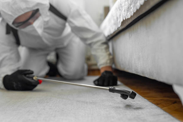 Professional Termite Control technician working in Jackson, SC