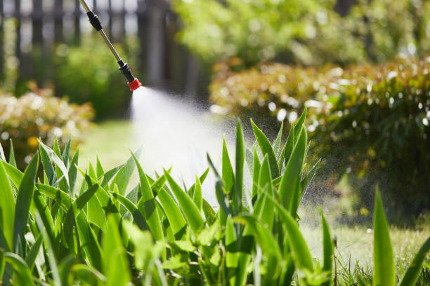 24/7 Emergency Termite Control experts in Jackson, SC