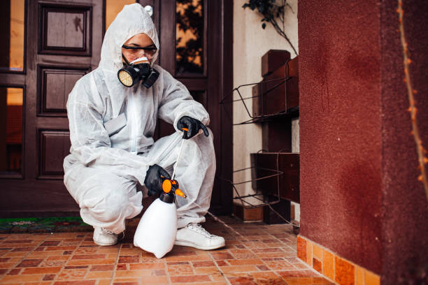 Reliable Termite Control contractor in Jackson, SC by Nex Pest Control