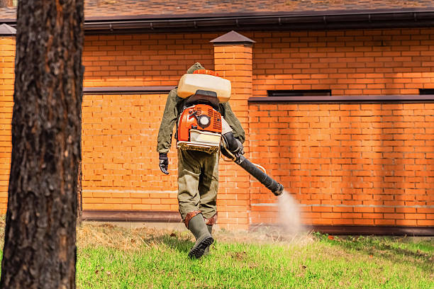 Top rated local Termite Control specialists in Jackson, SC